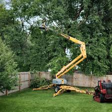 Best Grass Overseeding  in Dakota Dunes, SD